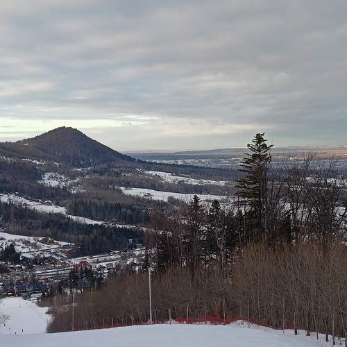 Photo #7421304