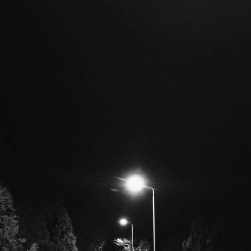 Photo #7421307