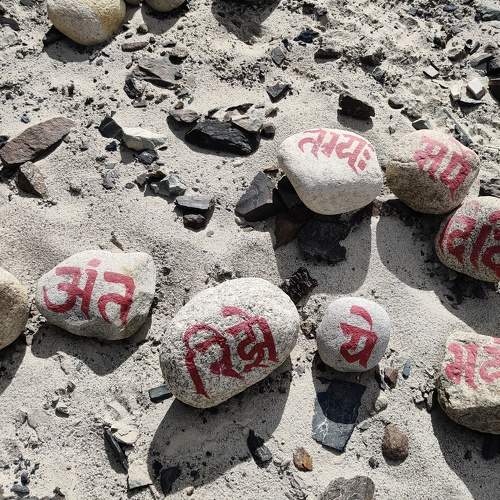 Photo #7421346