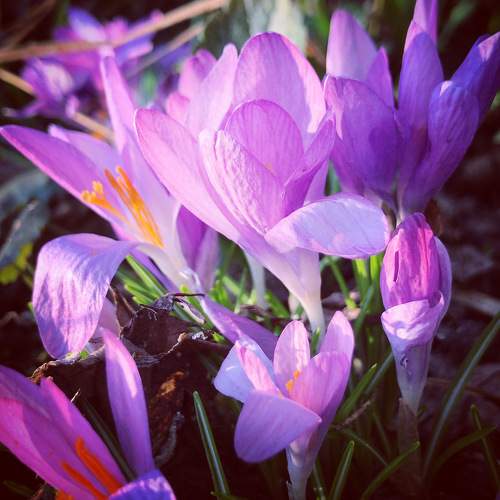 Photo #7421489