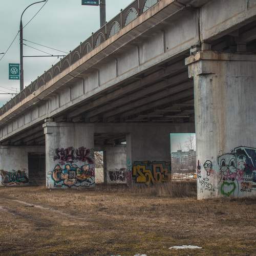 Photo #7421740