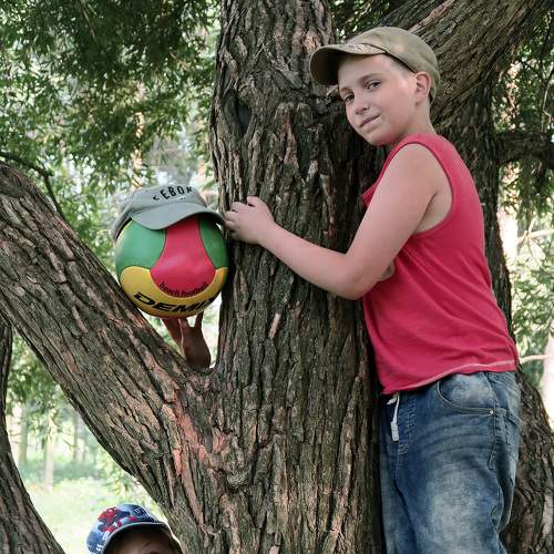 Photo #7421857