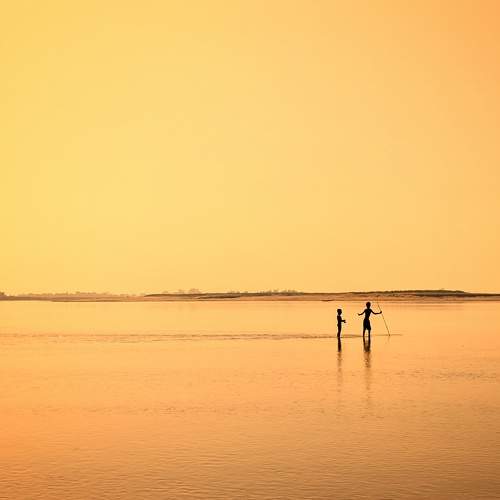 Photo #7421994