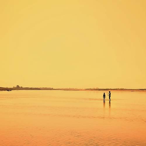 Photo #7421999