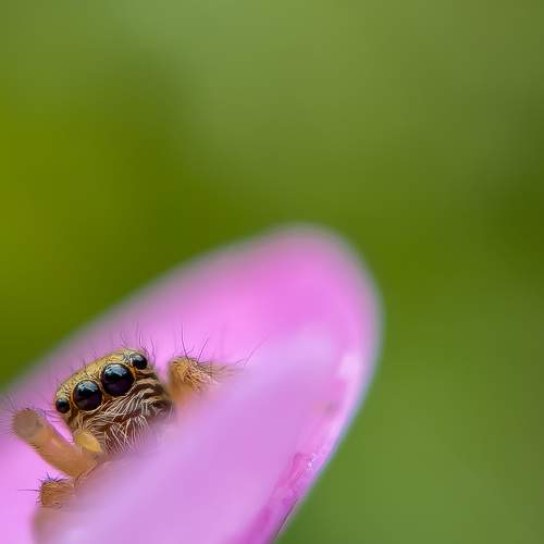 Photo #7422055