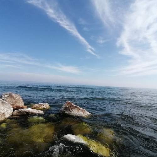 Photo #7422156