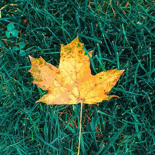 Photo #7422344