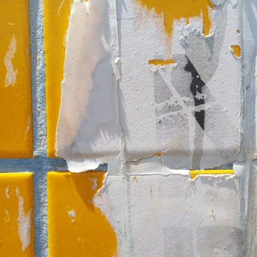 Photo #7422492