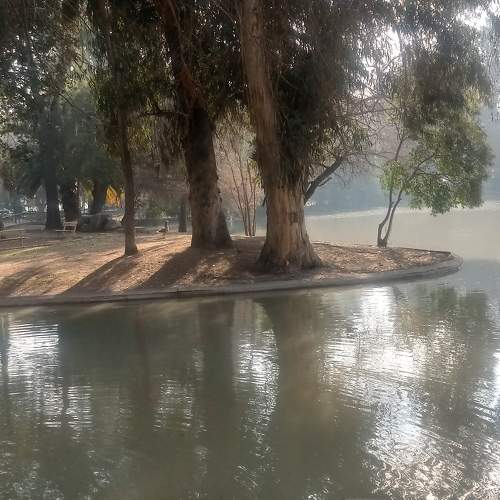 Photo #7422507