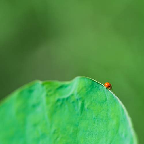 Photo #7422653