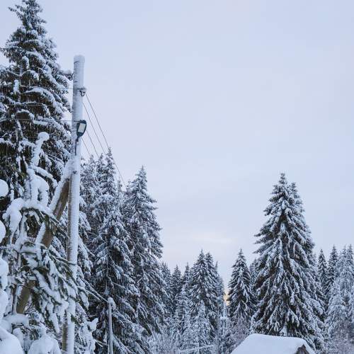 Photo #7423035