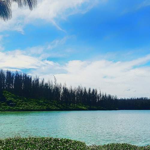 Photo #7423043