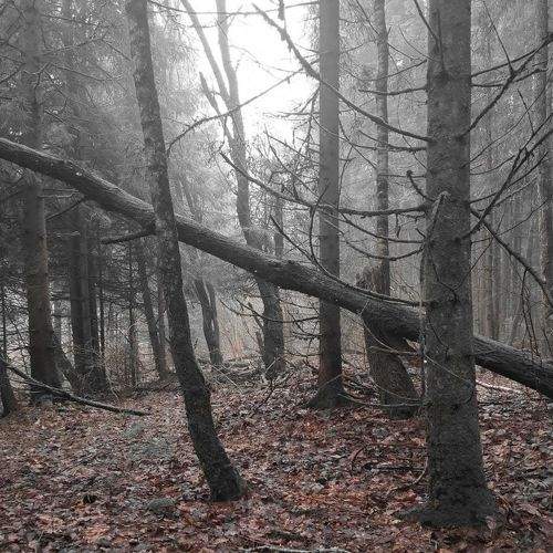 Photo #7423099
