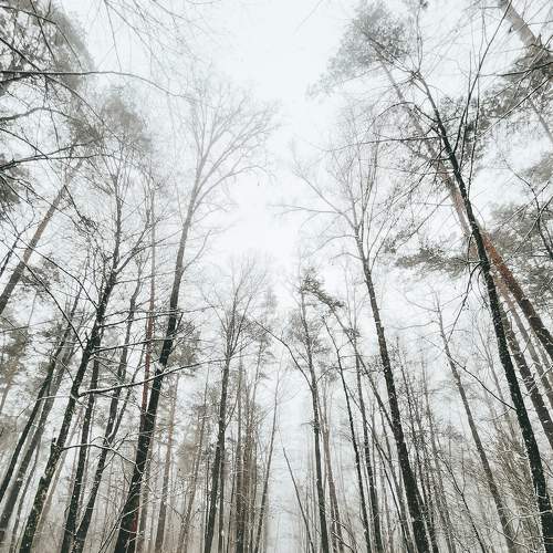 Photo #7423142