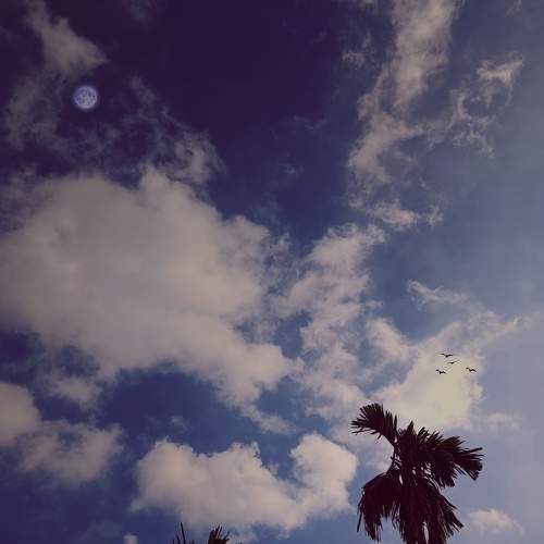 Photo #7423422