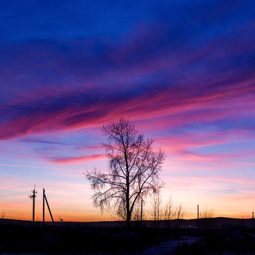Photo #7423454