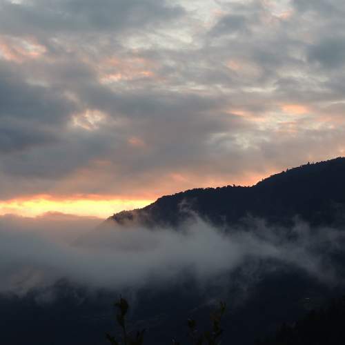 Photo #7423893