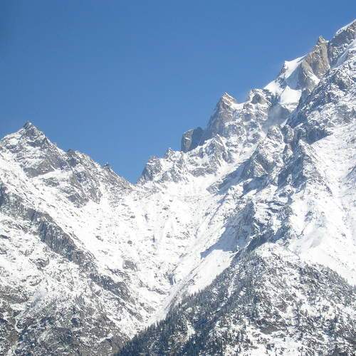 Photo #7423970