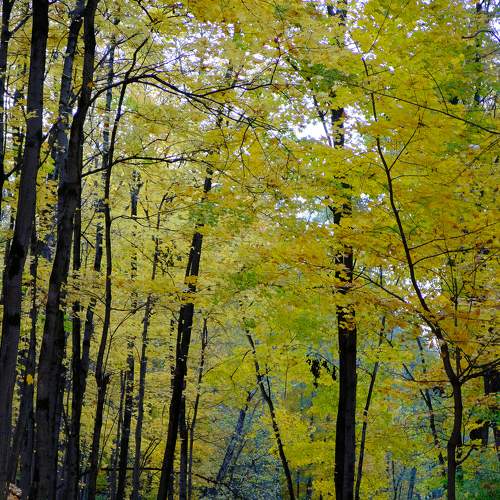 Photo #7424135