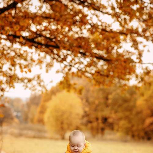 Photo #7424282