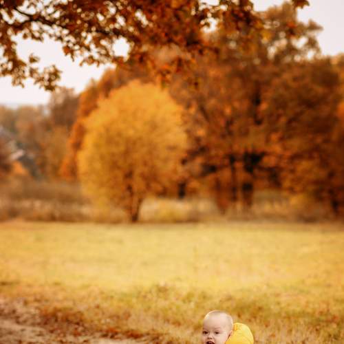 Photo #7424283