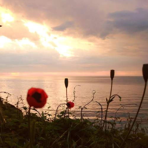 Photo #7424398