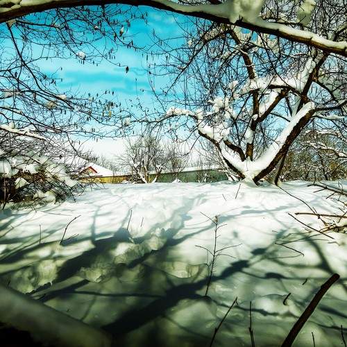 Photo #7424436