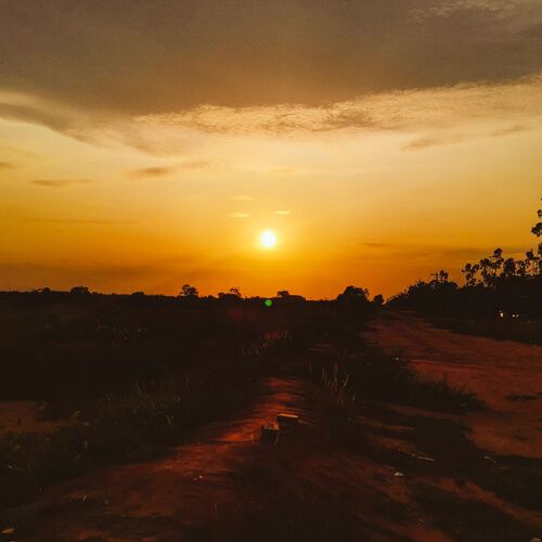 Photo #7424542