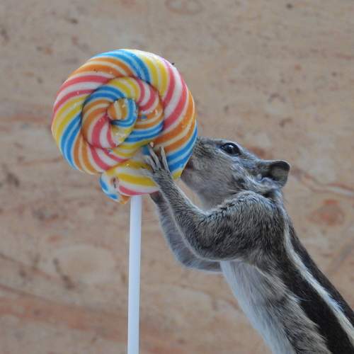 Photo #7424615