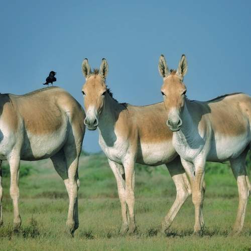 Photo #7424668