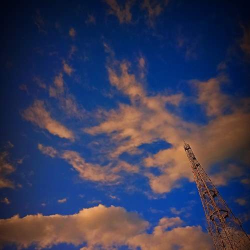 Photo #7424872