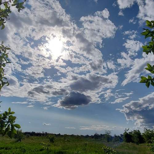 Photo #7424940