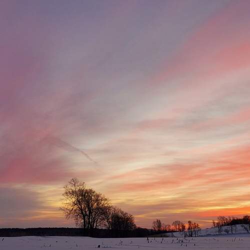 Photo #7425013