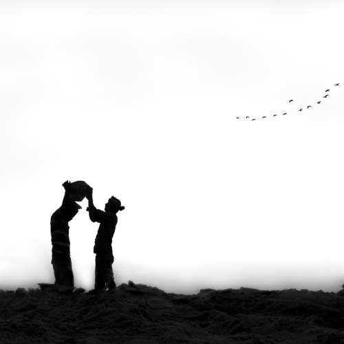 Photo #7425132