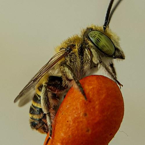 Photo #7425256