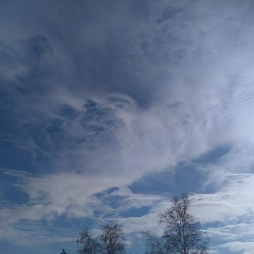Photo #7425300
