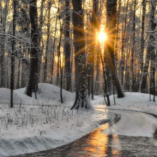 Photo #7425349