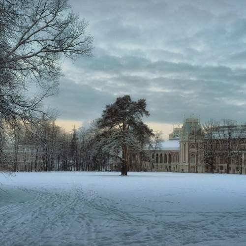 Photo #7425351