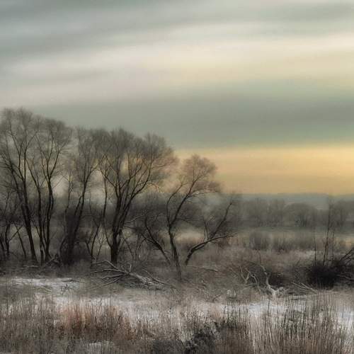 Photo #7425359