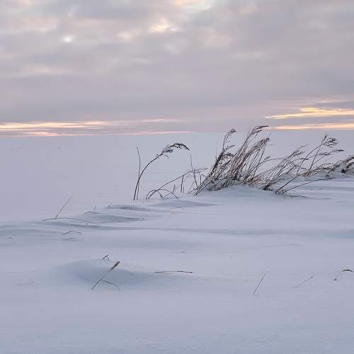 Photo #7425497