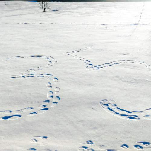 Photo #7426146