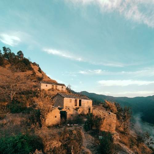 Photo #7426522