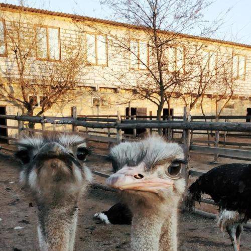 Photo #7426681