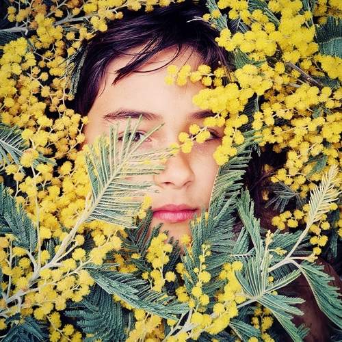 Photo #7427125