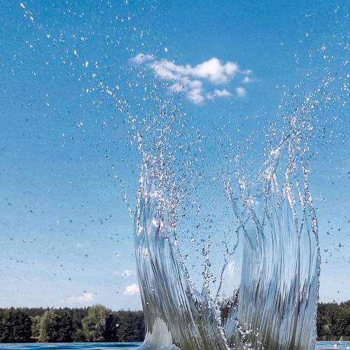 Photo #7427577