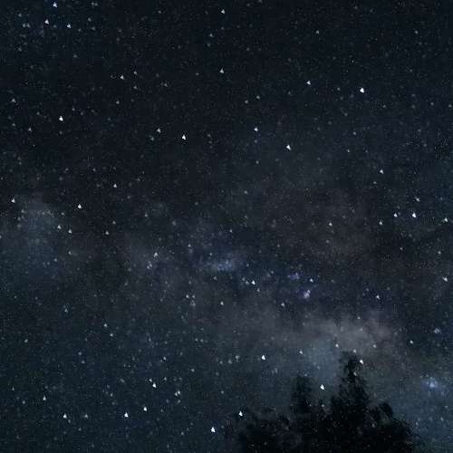Photo #7427634