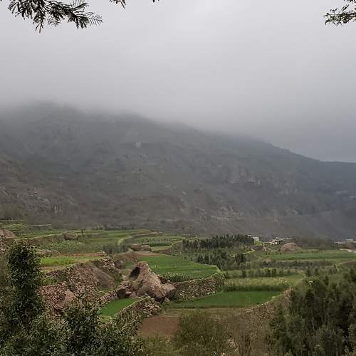 Photo #7427693