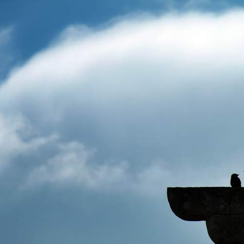 Photo #7427766