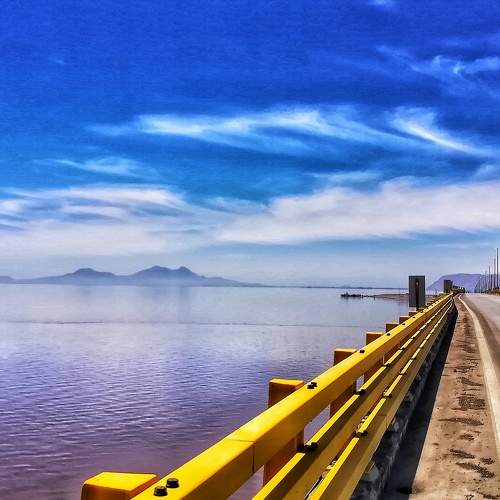 Photo #7427807