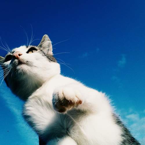 Photo #7427914